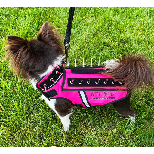CoyoteVest HawkVest Vest Dark Olive Green Mini / Yellow,Mini / Neon Pink,Mini / Turquoise,Mini / Red,Mini / Royal Blue,Mini / Texas Tan,Mini / Fluorescent Orange,Extra Small / Yellow,Extra Small / Neon Pink,Extra Small / Turquoise,Extra Small / Red,Extra Small / Royal Blue,Extra Small / Texas Tan