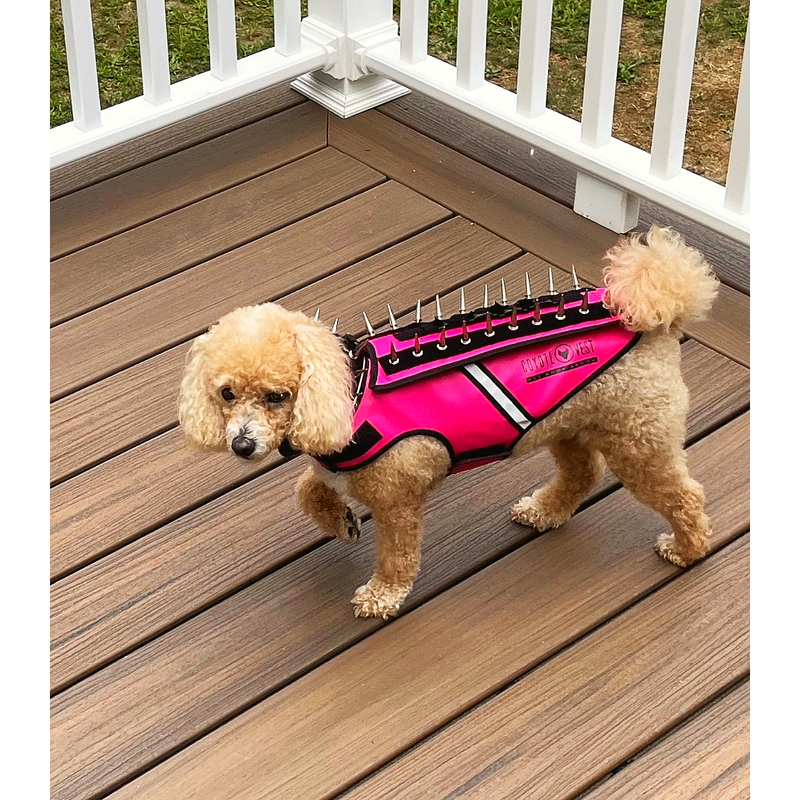 CoyoteVest HawkVest Vest Rosy Brown Mini / Yellow,Mini / Neon Pink,Mini / Turquoise,Mini / Red,Mini / Royal Blue,Mini / Texas Tan,Mini / Fluorescent Orange,Extra Small / Yellow,Extra Small / Neon Pink,Extra Small / Turquoise,Extra Small / Red,Extra Small / Royal Blue,Extra Small / Texas Tan
