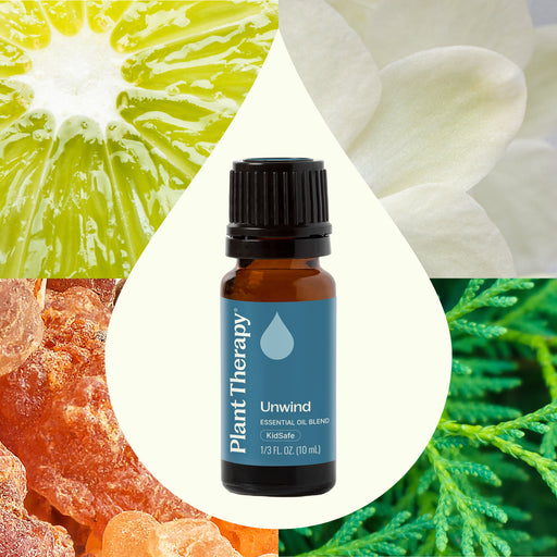 Plant Therapy Unwind Essential Oil Blend Essential Oil Seashell 10 mL