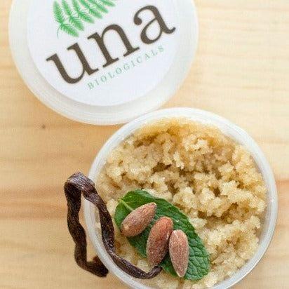 Una Biologicals® Vanilla Almond Sugar Scrub | Natural Bath | Una Biologicals Sugar Scrub Wheat 6oz