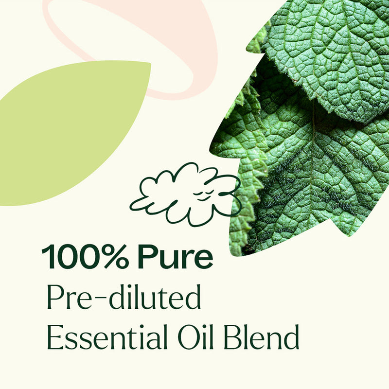 Plant Therapy Vein Aid Essential Oil Blend Pre-Diluted Roll-On Essential Oil Seashell 10 mL