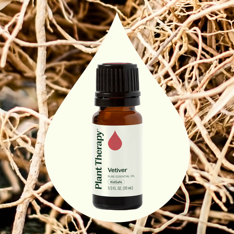 Plant Therapy Vetiver Essential Oil Essential Oil Seashell 10 mL,30 mL