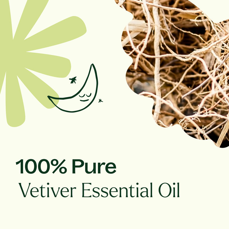 Plant Therapy Vetiver Essential Oil Essential Oil Seashell 10 mL,30 mL