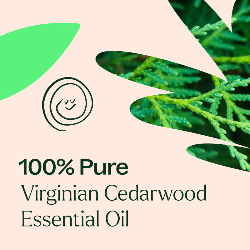 Plant Therapy Virginian Cedarwood Essential Oil Essential Oil Antique White 10 mL,30 mL
