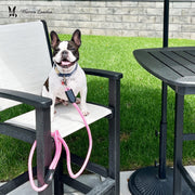 Warren London Rope Leash - 6 Styles Leashes, Collars & Accessories Light Gray Rainbow,Red,Purple,Pink,Blue,Green
