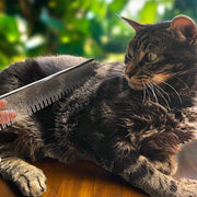 Warren London Carding Cat Comb Pet Combs & Brushes Black