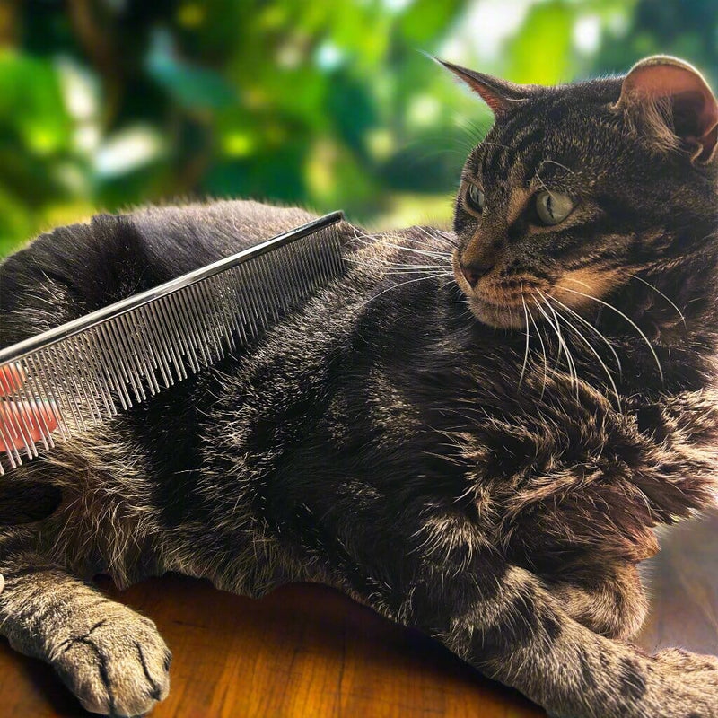 Warren London Carding Cat Comb Pet Combs & Brushes Black