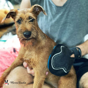 Warren London 2 in 1 Pet Grooming Glove for Dogs & Cats - Double Sided Pet Grooming Supplies Slate Gray
