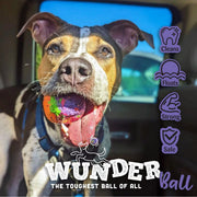 WACKYstore WUNDERball - Best Fetch Toy Black (XL) Over 80 lbs. / Swirl,(XL) Over 80 lbs. / Orange,(XL) Over 80 lbs. / Green,(XL) Over 80 lbs. / Pink,(XL) Over 80 lbs. / Purple,(LARGE) up to 80 lbs. / Swirl,(LARGE) up to 80 lbs. / Orange,(LARGE) up to 80 lbs. / Green,(LARGE) up to 80 lbs. / Pink,(LAR
