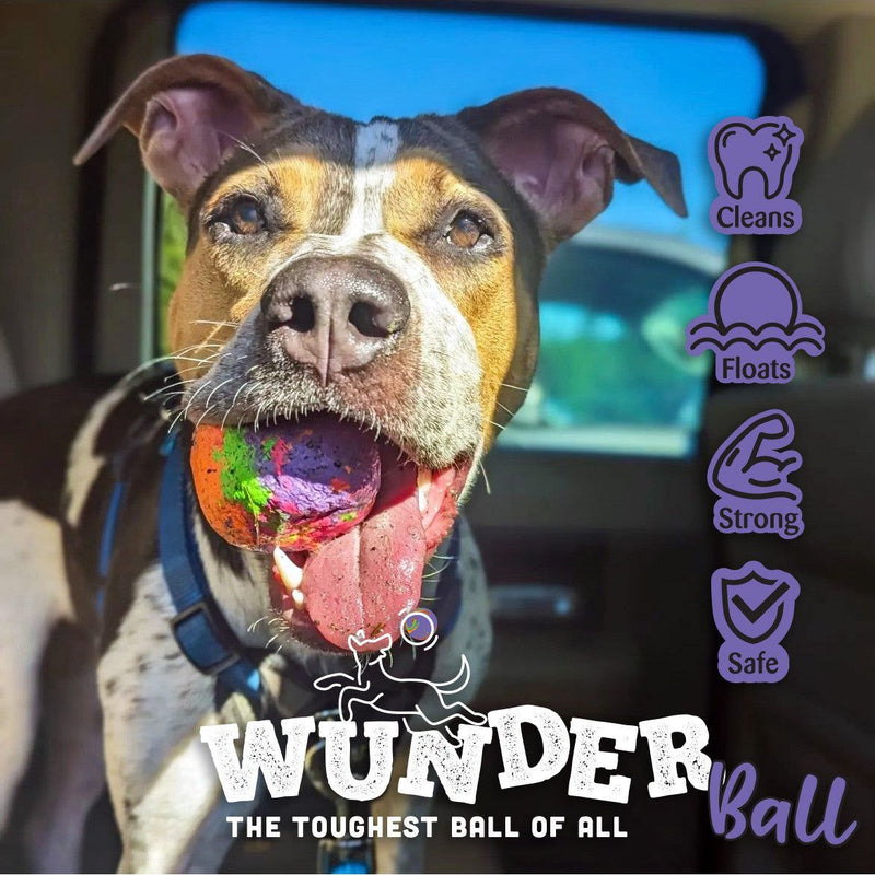 WACKYstore WUNDERball - Best Fetch Toy Black (XL) Over 80 lbs. / Swirl,(XL) Over 80 lbs. / Orange,(XL) Over 80 lbs. / Green,(XL) Over 80 lbs. / Pink,(XL) Over 80 lbs. / Purple,(LARGE) up to 80 lbs. / Swirl,(LARGE) up to 80 lbs. / Orange,(LARGE) up to 80 lbs. / Green,(LARGE) up to 80 lbs. / Pink,(LAR
