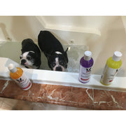 Warren London Neem Oil Oatmeal Shampoo - Soothes & Relieves Itching - Insect Repellant Dog Shampoo Dark Gray