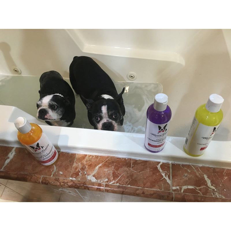 Warren London Neem Oil Oatmeal Shampoo - Soothes & Relieves Itching - Insect Repellant Dog Shampoo Dark Gray