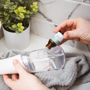 Wellnesse Essential Water Flosser Duo Gray