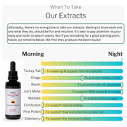 Forager's Kingdom Chaga Extract Mushroom Extract Sea Green