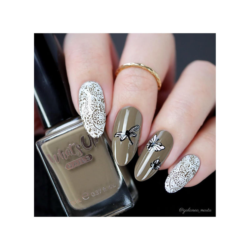 UberChic Beauty Whimsical By Nature-01 Stamping Plate Dark Gray