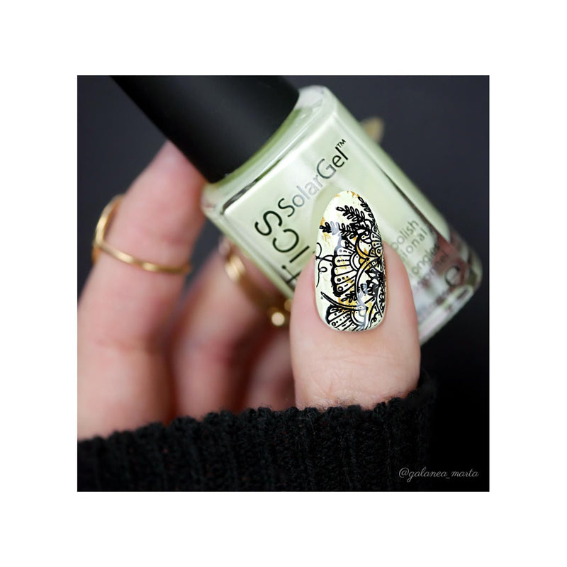UberChic Beauty Whimsical By Nature-01 Stamping Plate Gray