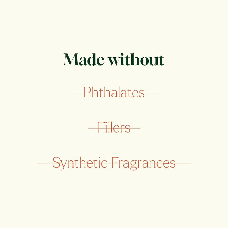 Plant Therapy Whiskey Oak Natural Fragrance Household Seashell 10 mL