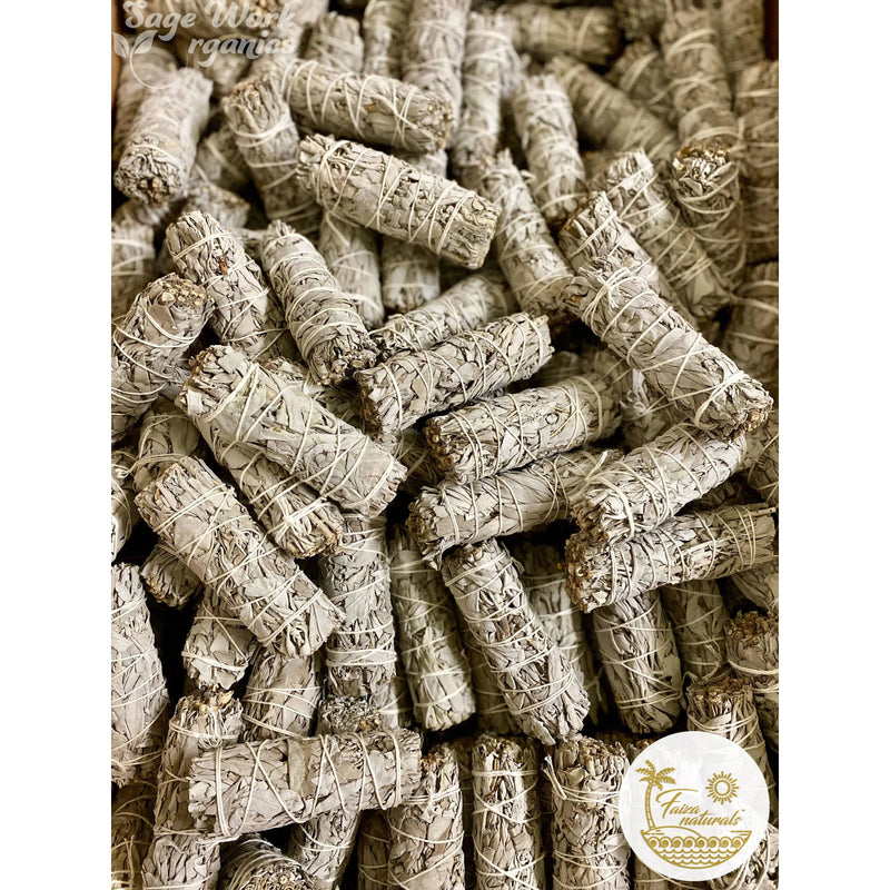 SageWork Organics White Sage Bundles 4 inch- California White Sage from Farm Gray