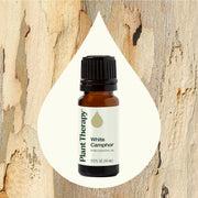 Plant Therapy White Camphor Essential Oil Essential Oil Seashell 10 mL,30 mL