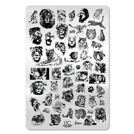 UberChic Beauty Wild & Fierce: Big Cats Stamping Plate Black