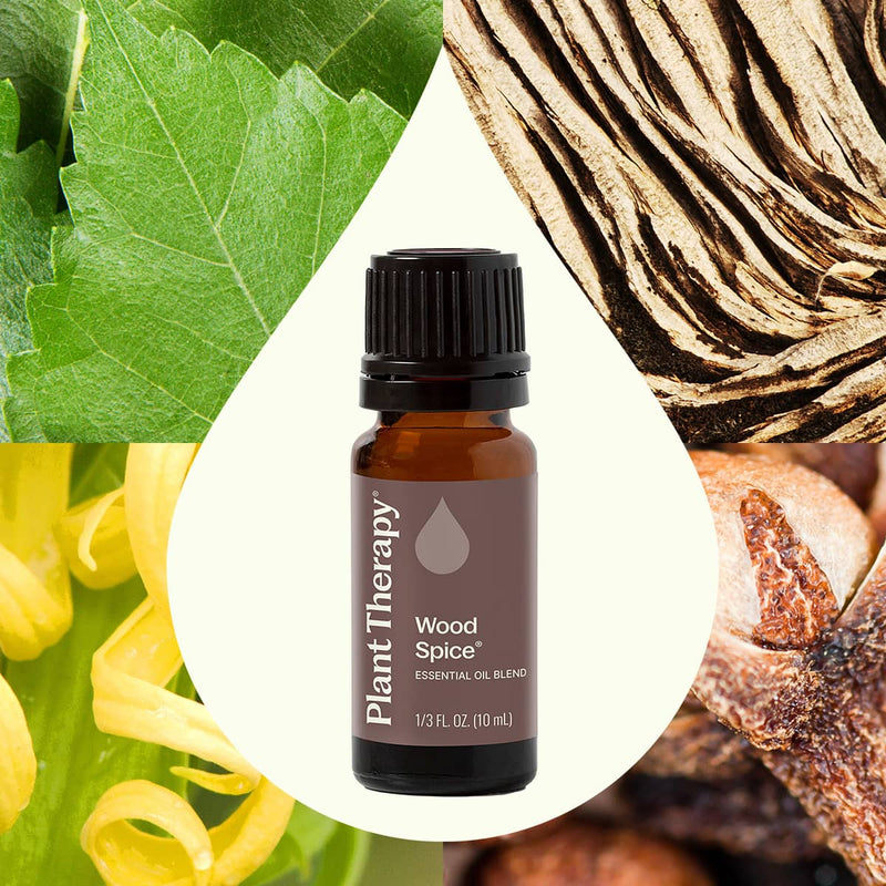 Plant Therapy Wood Spice Essential Oil Blend Essential Oil Seashell 10 mL