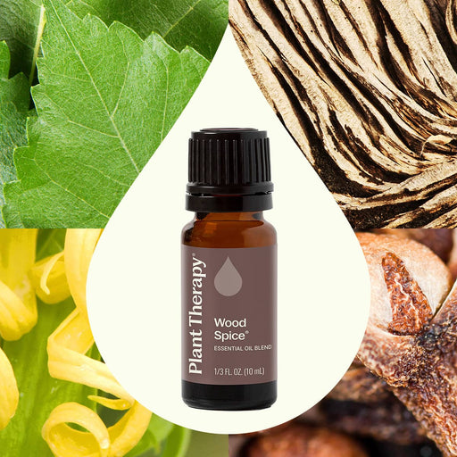 Plant Therapy Wood Spice Essential Oil Blend Essential Oil Seashell 10 mL