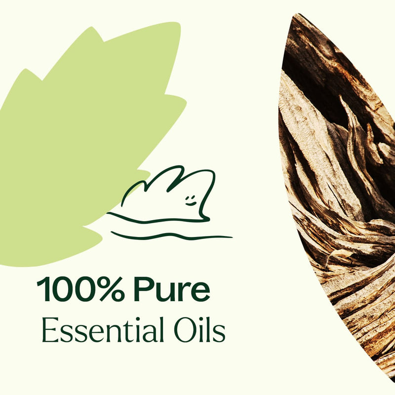 Plant Therapy Wood Spice Essential Oil Blend Essential Oil Seashell 10 mL