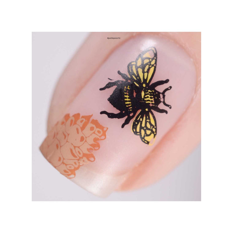 UberChic Beauty Woodland Chic-02 Stamping Plate Gray