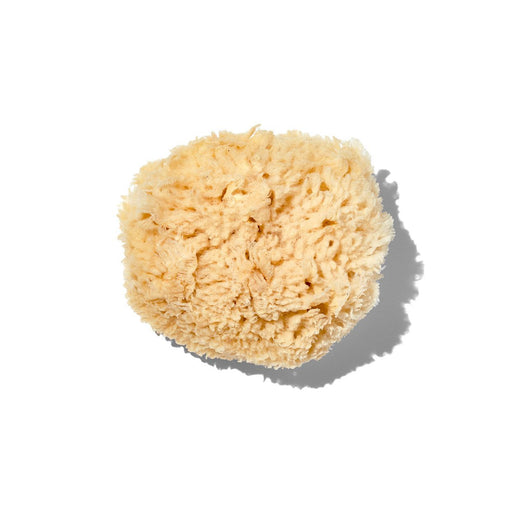 California Baby Natural "Wool" 5-6" Sea Sponge Accessories White Smoke