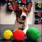 WACKYstore WUNDERball - Best Fetch Toy Black (XL) Over 80 lbs. / Swirl,(XL) Over 80 lbs. / Orange,(XL) Over 80 lbs. / Green,(XL) Over 80 lbs. / Pink,(XL) Over 80 lbs. / Purple,(LARGE) up to 80 lbs. / Swirl,(LARGE) up to 80 lbs. / Orange,(LARGE) up to 80 lbs. / Green,(LARGE) up to 80 lbs. / Pink,(LAR