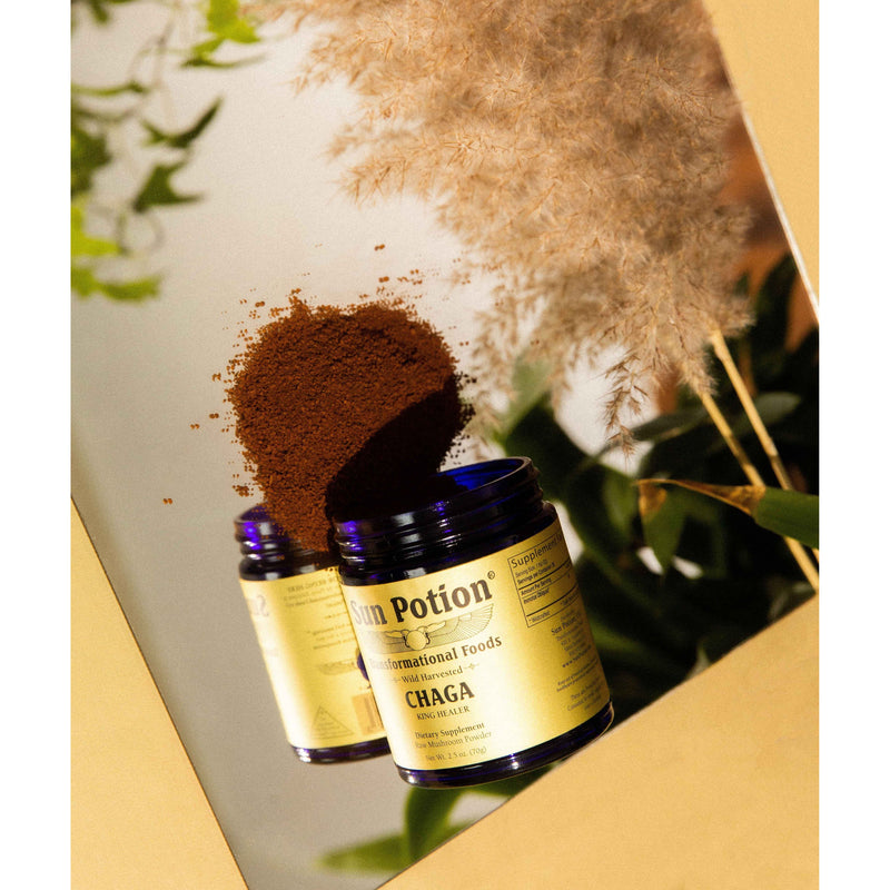 Sun Potion Chaga Mushroom Powder (Wildcrafted) Adaptogen Tan 70g Jar