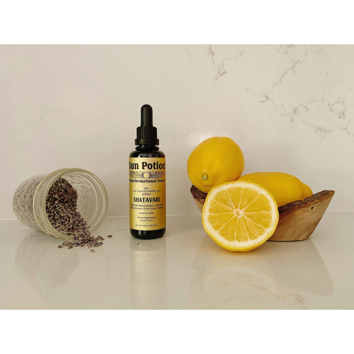 Sun Potion Shatavari Transcendent Elixir tincture Gray 50ml Shatavari tincture
