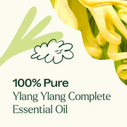 Plant Therapy Ylang Ylang Complete Essential Oil Essential Oil Seashell 10 mL,30 mL