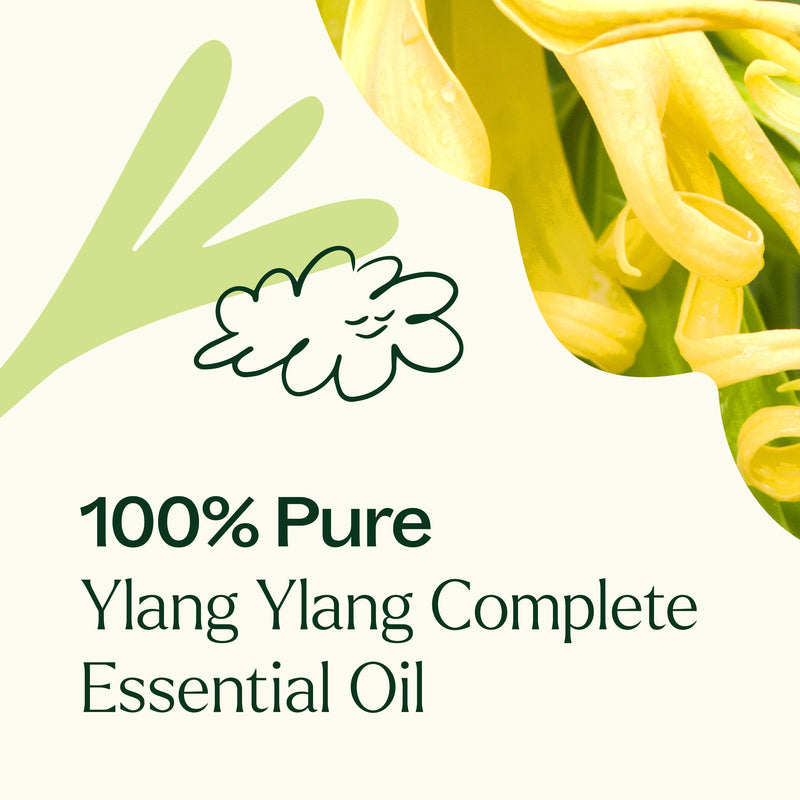 Plant Therapy Ylang Ylang Complete Essential Oil Essential Oil Seashell 10 mL,30 mL