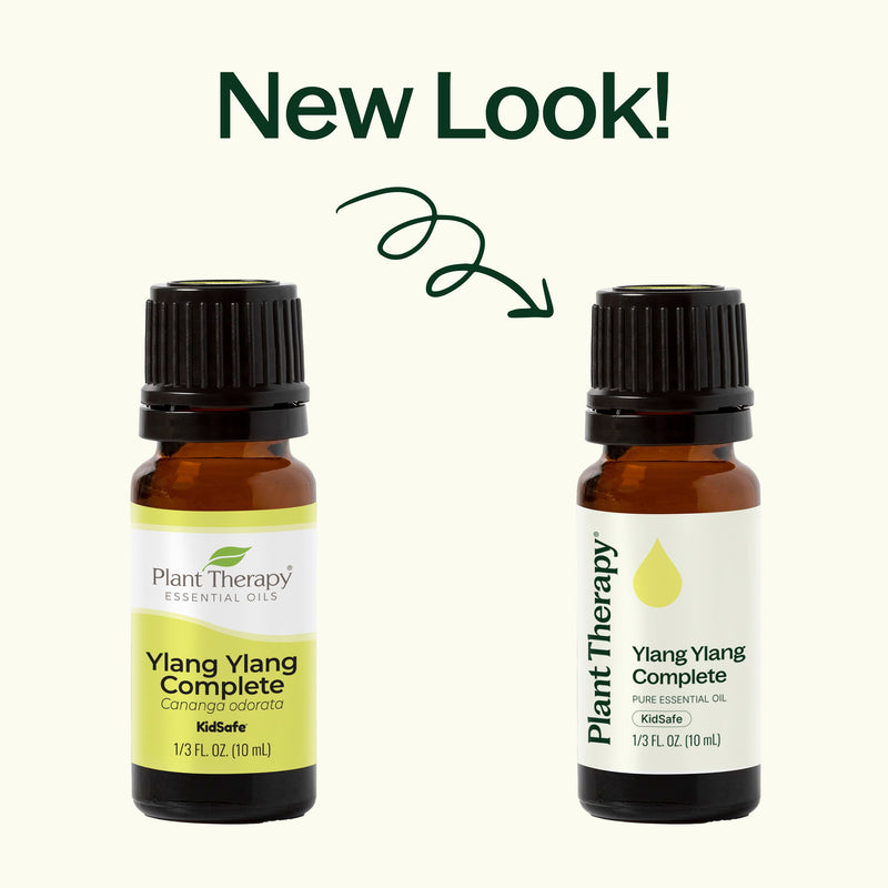 Plant Therapy Ylang Ylang Complete Essential Oil Essential Oil Seashell 10 mL,30 mL