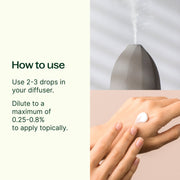 Plant Therapy Ylang Ylang Extra Essential Oil Essential Oil Seashell 10 mL,30 mL