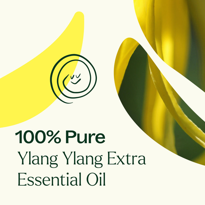 Plant Therapy Ylang Ylang Extra Essential Oil Essential Oil Seashell 10 mL,30 mL