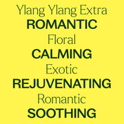 Plant Therapy Ylang Ylang Extra Essential Oil Essential Oil Light Goldenrod 10 mL,30 mL