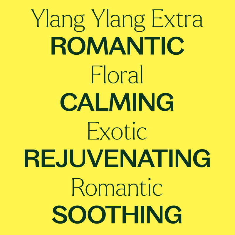 Plant Therapy Ylang Ylang Extra Essential Oil Essential Oil Light Goldenrod 10 mL,30 mL