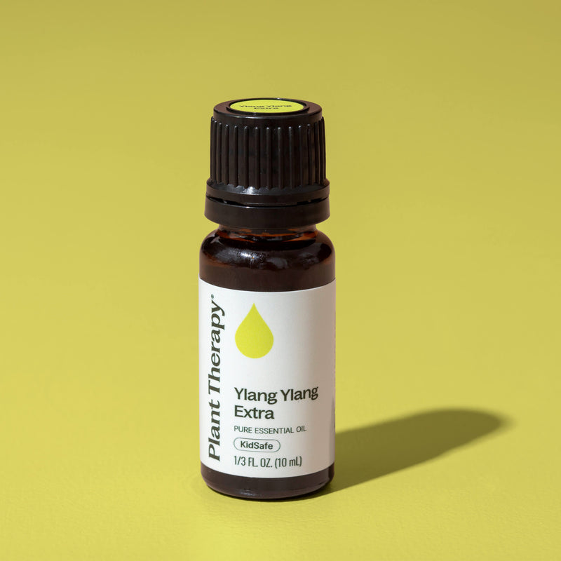 Plant Therapy Ylang Ylang Extra Essential Oil Essential Oil Dark Khaki 10 mL,30 mL