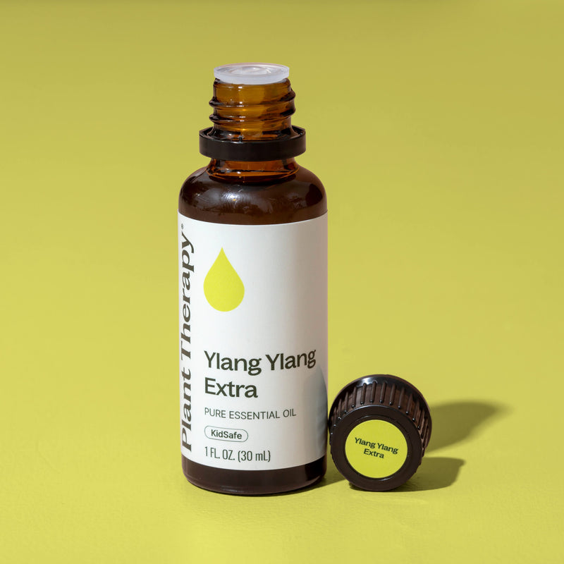 Plant Therapy Ylang Ylang Extra Essential Oil Essential Oil Dark Khaki 10 mL,30 mL