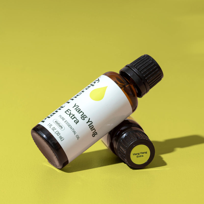 Plant Therapy Ylang Ylang Extra Essential Oil Essential Oil Dark Khaki 10 mL,30 mL