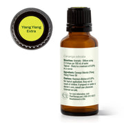 Plant Therapy Ylang Ylang Extra Essential Oil Essential Oil White Smoke 10 mL,30 mL