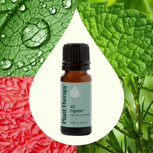 Plant Therapy Zit Fighter Essential Oil Blend Essential Oil Seashell 10 mL