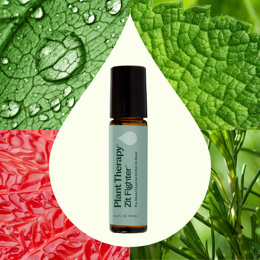Plant Therapy Zit Fighter Essential Oil Blend Pre-Diluted Roll-On Essential Oil Seashell 10 mL