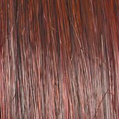 Raquel Welch Alpha Wave 16" Top Piece Hair Topper Hairpiece