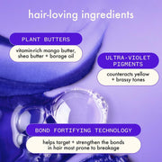 Nava Beauty Amika Bust Your Brass Cool Blonde Strength Repair Conditioner Hair Light Steel Blue 9.2 Oz,33.8 Oz