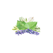 Rustic Strength Aromatherapy Blend of Essential Oil Scenting Oil White Smoke