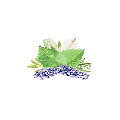 Rustic Strength Aromatherapy Blend of Essential Oil Scenting Oil White Smoke