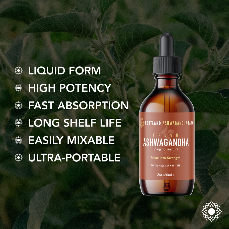 Portland Ashwagandha Farm Ashwagandha Fresh Spagyric Tincture – Pacific Northwest Grown Tincture Black 2oz,4oz